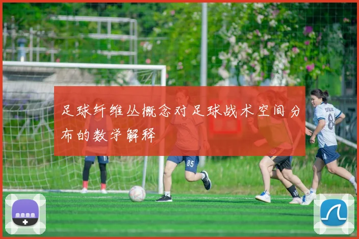 足球纤维丛概念对足球战术空间分布的数学解释