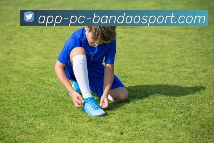 半岛体育品牌故事