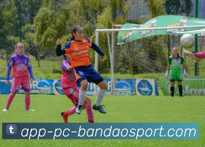 半岛体育服务体系